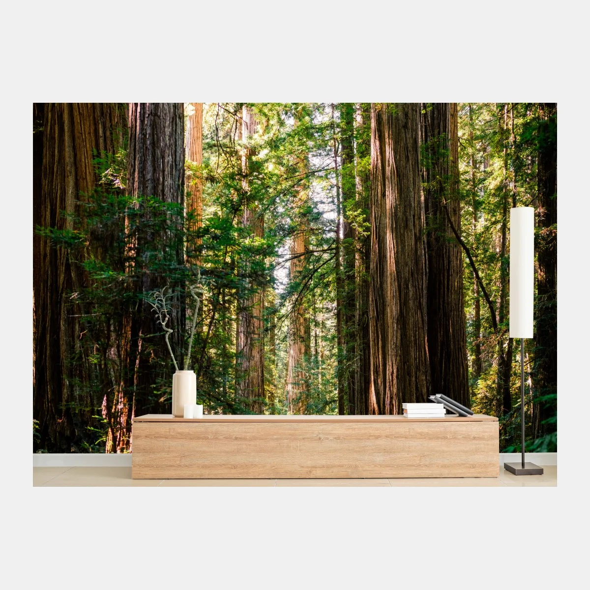 Fototapeta majestatyczna ścieżka w lesie sekwoi – Wallissimo® Fototapeta majestatyczna ścieżka w lesie sekwoi – Wallissimo®