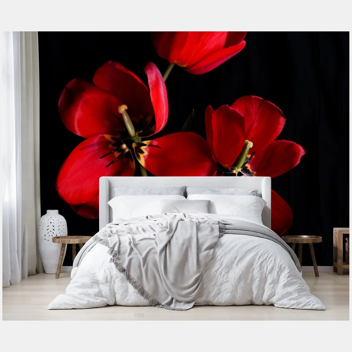 Fototapeta trzy czerwone tulipany na czarnym tle – Wallissimo® Fototapeta trzy czerwone tulipany na czarnym tle – Wallissimo®