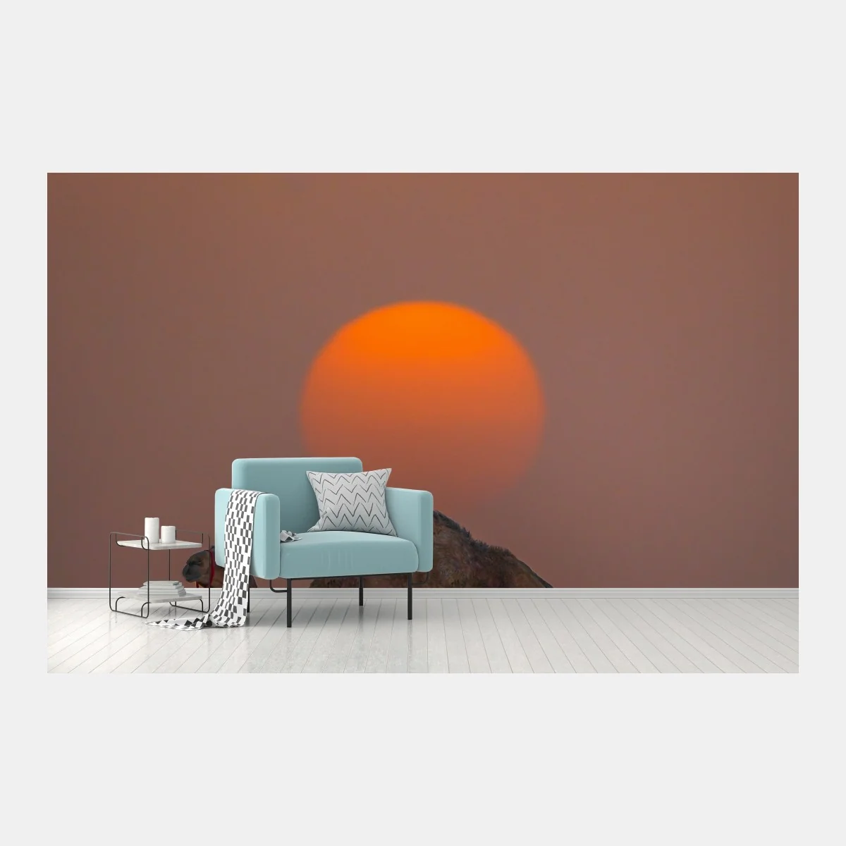 Fototapeta wielbłąd na tle zachodu słońca na pustyni – Wallissimo® Fototapeta wielbłąd na tle zachodu słońca na pustyni – Wallissimo®