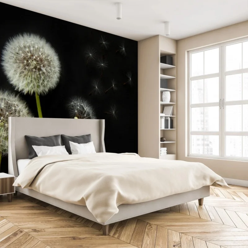 Fototapeta delikatne główki mniszka na czarnym tle – Wallissimo® Fototapeta delikatne główki mniszka na czarnym tle – Wallissimo®