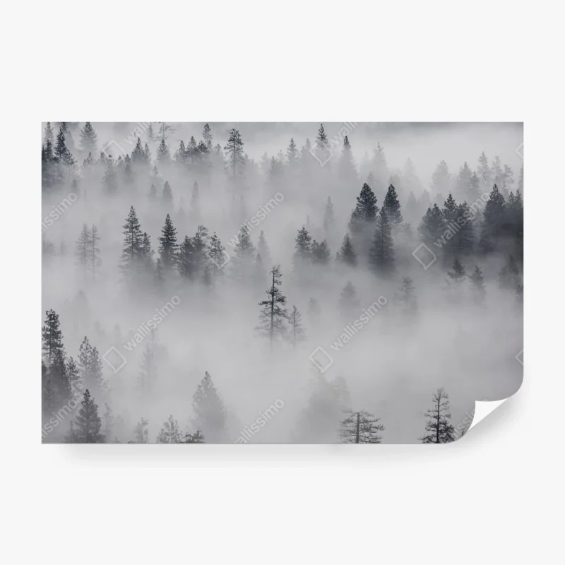 Fototapeta delikatny akwarelowy bukiet kwiatów – Wallissimo®