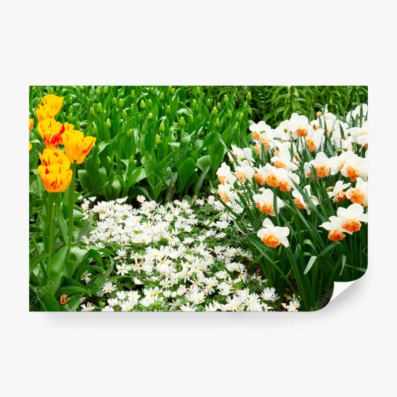 Fototapeta odbijające się góry nad spokojnym jeziorem – Wallissimo®