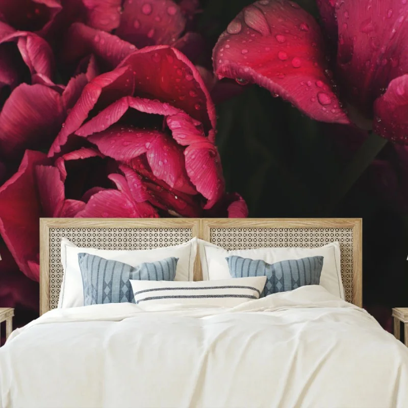 Fototapeta głębokie bordowe kwiaty z kroplami wody – Wallissimo® Fototapeta głębokie bordowe kwiaty z kroplami wody – Wallissimo®