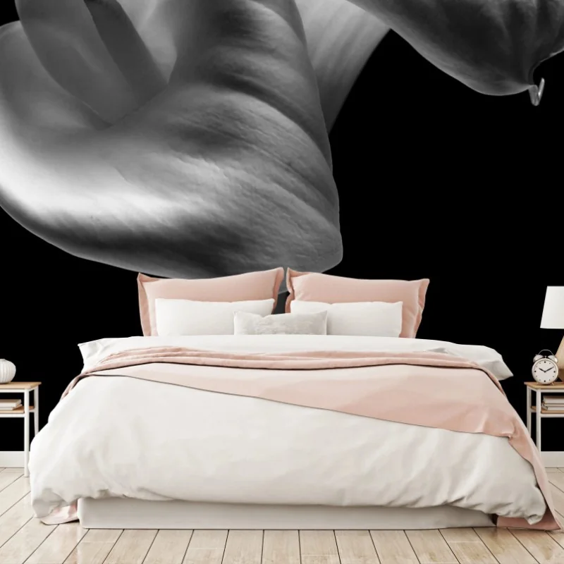 Fototapeta eleganckie kielichy kalii w monochromie – Wallissimo® Fototapeta eleganckie kielichy kalii w monochromie – Wallissimo®