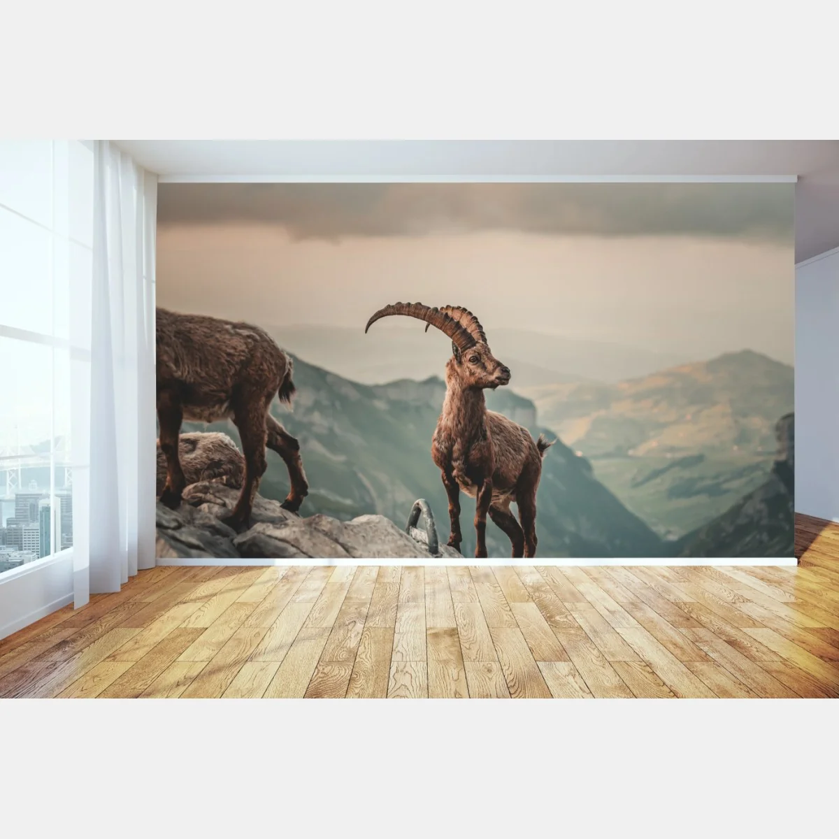 Fototapeta kozica alpejska na skalistym grzbiecie – Wallissimo® Fototapeta kozica alpejska na skalistym grzbiecie – Wallissimo®