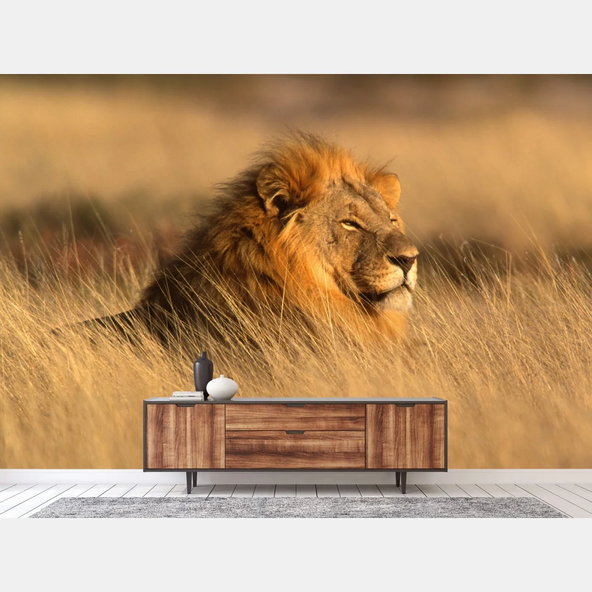 Fototapeta majestatyczny lew w wysokiej trawie – Wallissimo® Fototapeta majestatyczny lew w wysokiej trawie – Wallissimo®