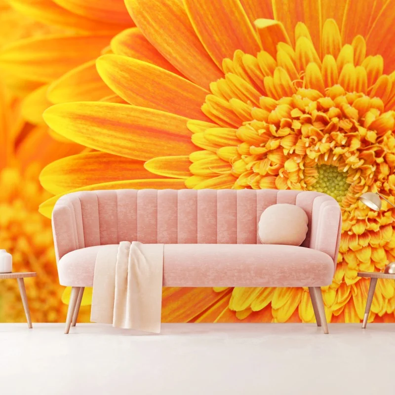 Fototapeta intensywna pomarańczowa gerbera z bliska – Wallissimo® Fototapeta intensywna pomarańczowa gerbera z bliska – Wallissimo®