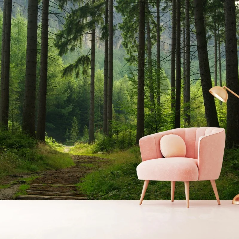 Fototapeta spokojna leśna ścieżka – Wallissimo® Fototapeta spokojna leśna ścieżka – Wallissimo®