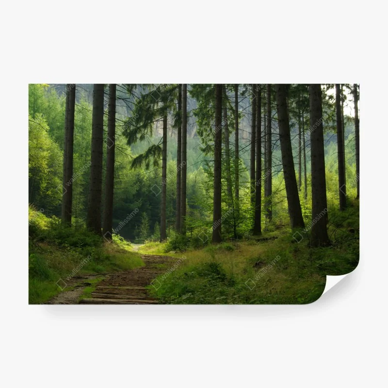 Fototapeta złoty zachód słońca nad spokojnym jeziorem – Wallissimo®