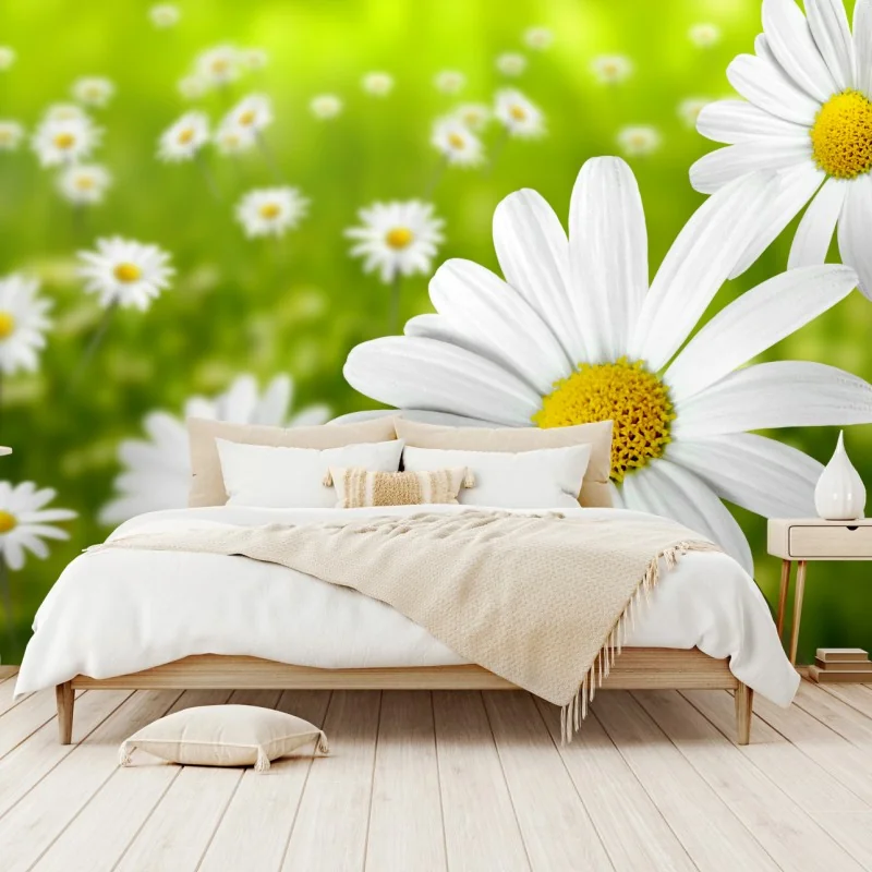 Fototapeta białe stokrotki na łące – Wallissimo® Fototapeta białe stokrotki na łące – Wallissimo®