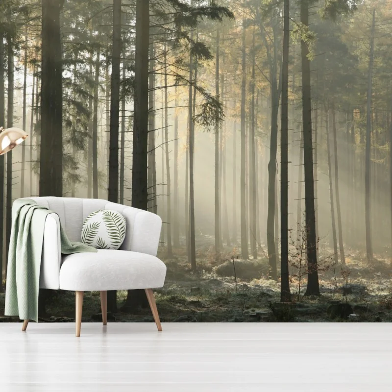 Fototapeta mglisty poranek w lesie z promieniami słońca – Wallissimo® Fototapeta mglisty poranek w lesie z promieniami słońca – Wallissimo®