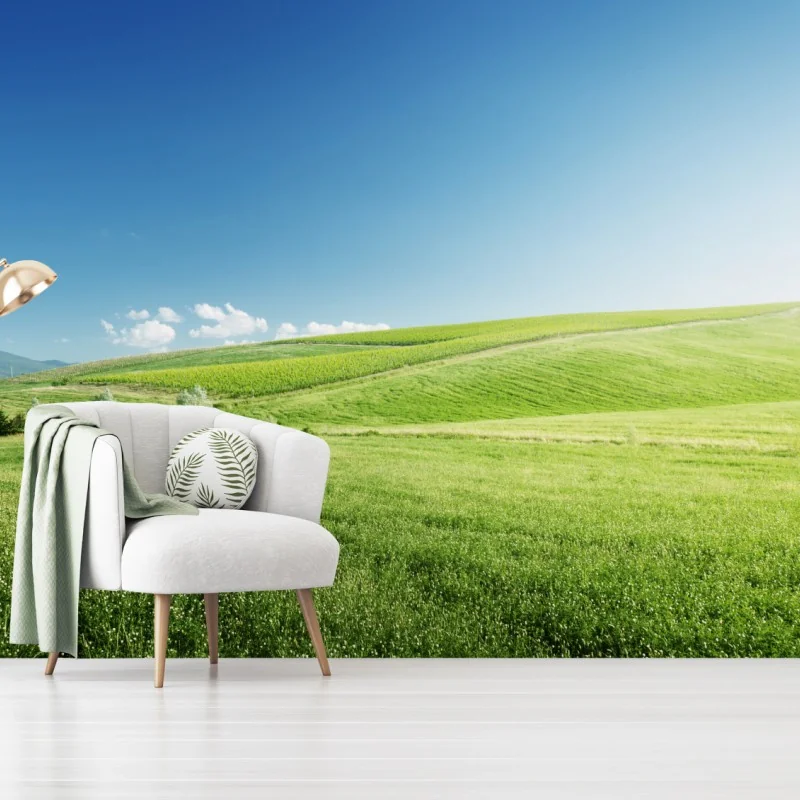 Fototapeta spokojna zielona łąka – Wallissimo® Fototapeta spokojna zielona łąka – Wallissimo®