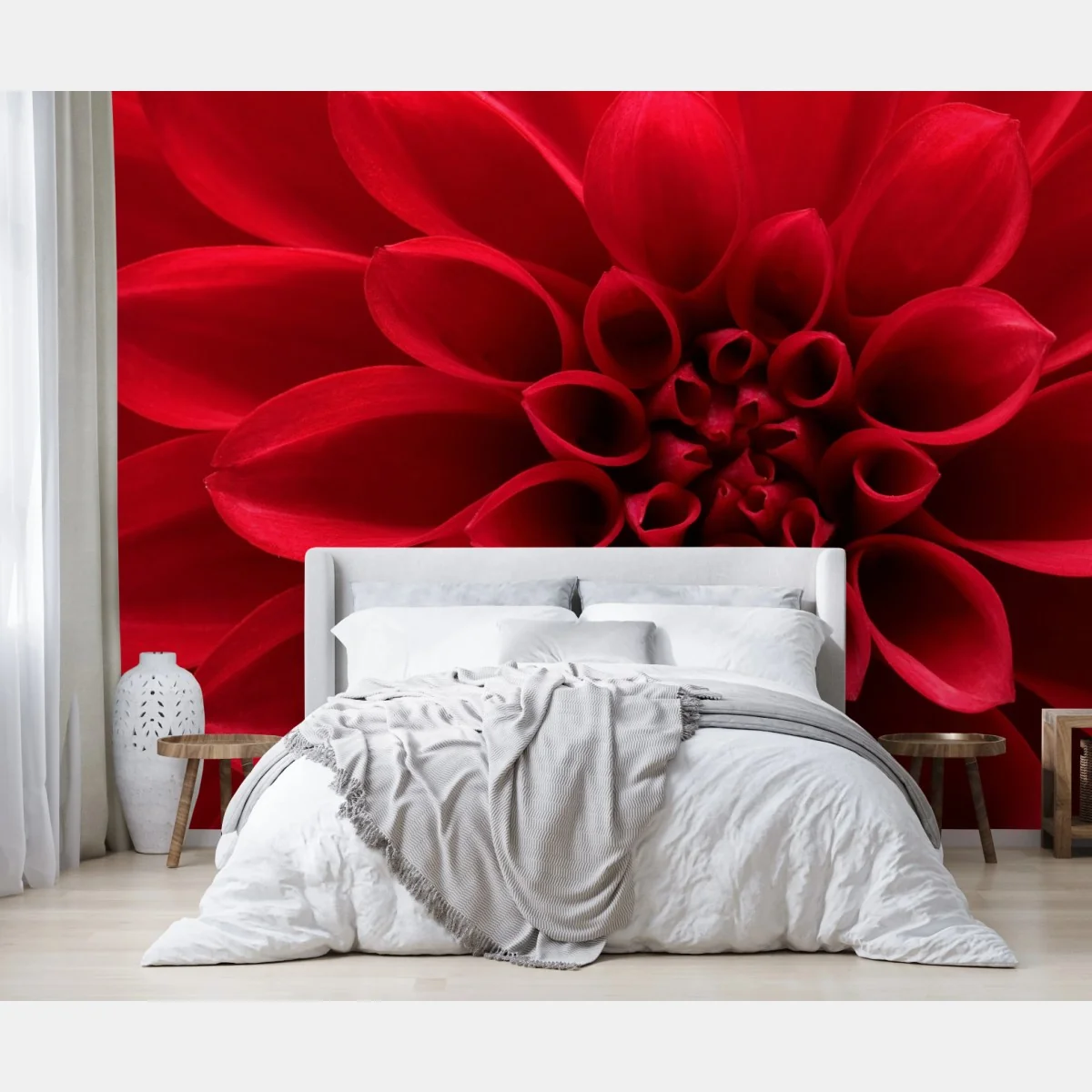 Fototapeta zbliżenie czerwonej dalii – Wallissimo® Fototapeta zbliżenie czerwonej dalii – Wallissimo®