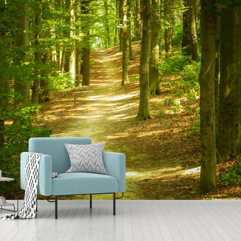 Fototapeta słoneczna leśna ścieżka – Wallissimo® Fototapeta słoneczna leśna ścieżka – Wallissimo®