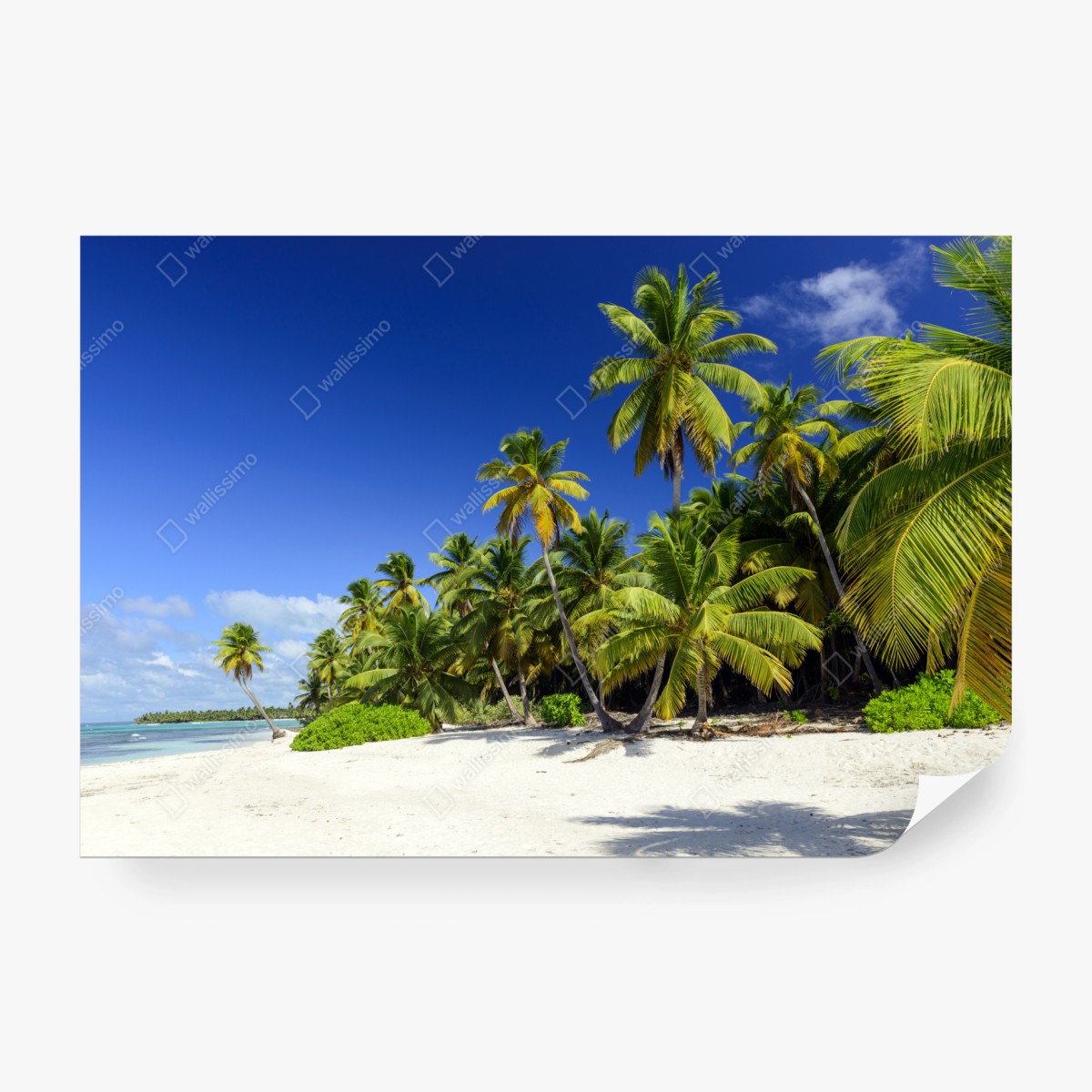 Fototapeta spokojna Punta Cana tropikalna plaża – Wallissimo® Fototapeta spokojna Punta Cana tropikalna plaża – Wallissimo®