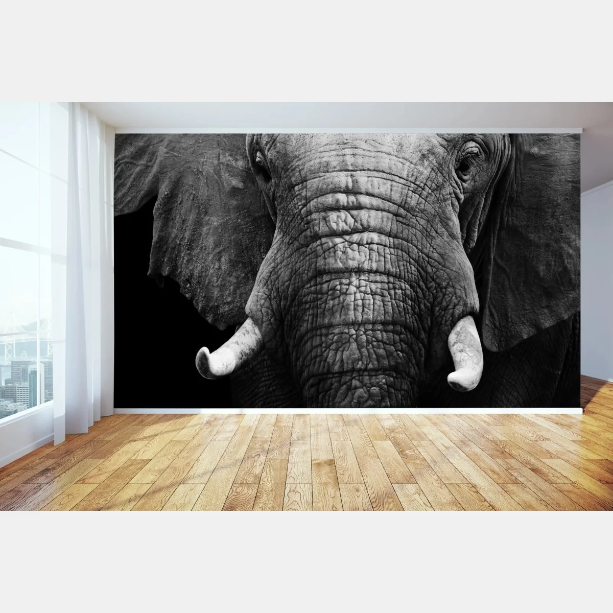 Fototapeta majestatyczne zbliżenie słonia – Wallissimo® Fototapeta majestatyczne zbliżenie słonia – Wallissimo®