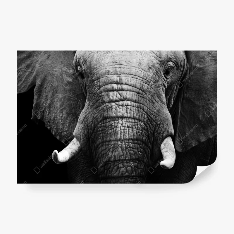 Fototapeta turkusowa laguna z skalistą wyspą – Wallissimo®