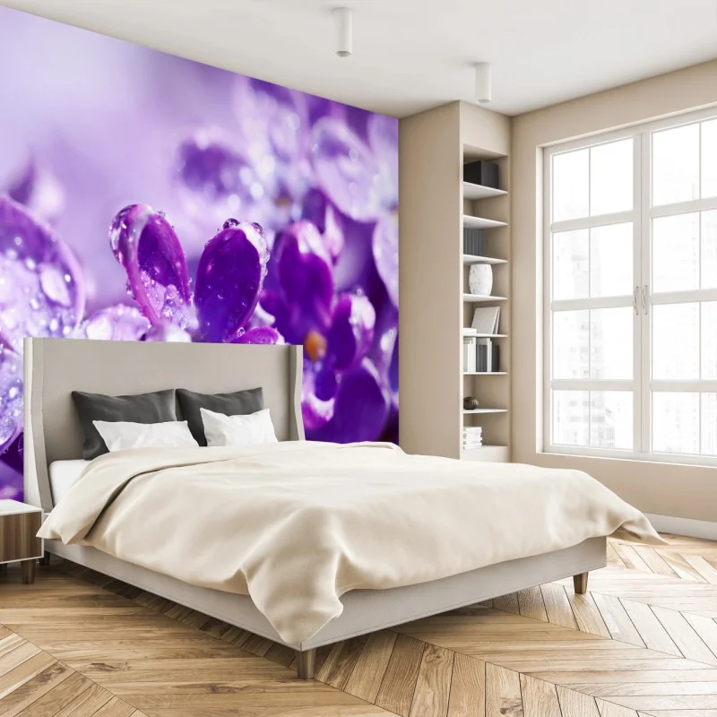 Fototapeta fioletowy bez z kroplami rosy – Wallissimo® Fototapeta fioletowy bez z kroplami rosy – Wallissimo®