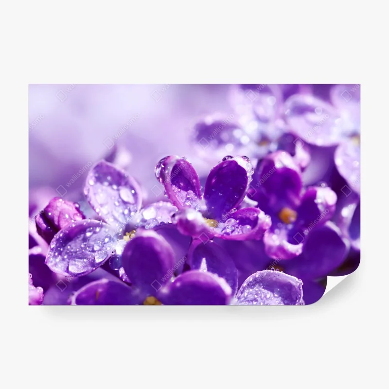 Fototapeta spokojne górskie odbicia w Lake District – Wallissimo®