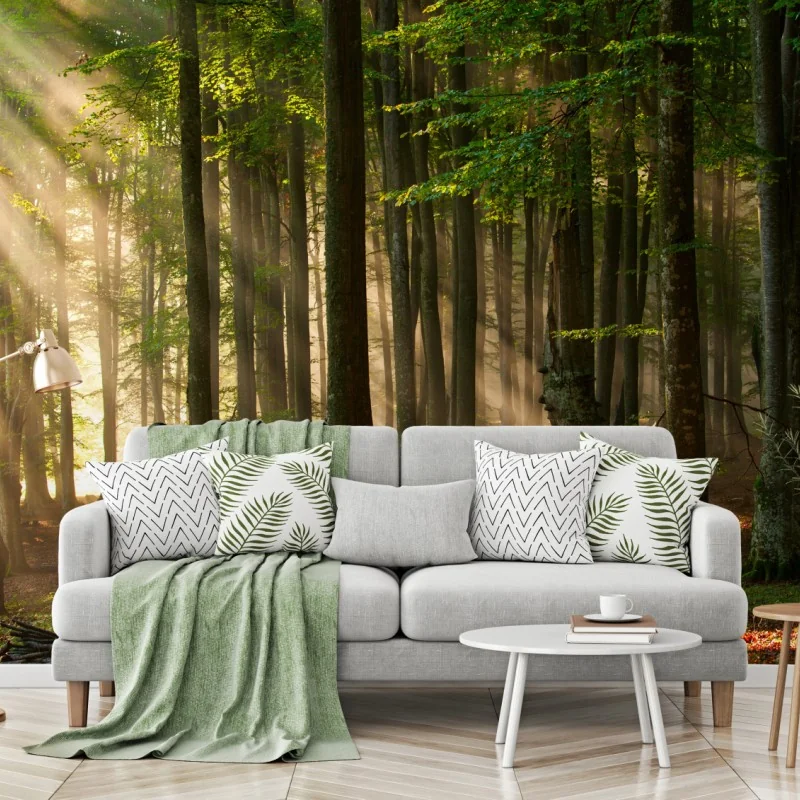 Fototapeta poranne światło w lesie bukowym – Wallissimo® Fototapeta poranne światło w lesie bukowym – Wallissimo®