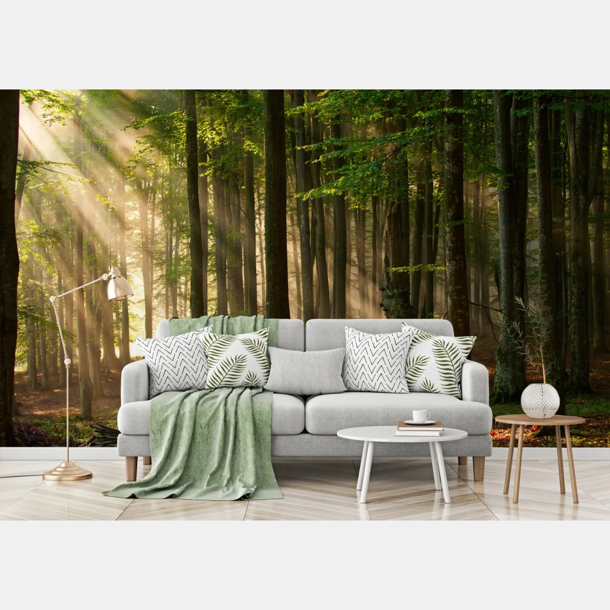 Fototapeta poranne światło w lesie bukowym – Wallissimo® Fototapeta poranne światło w lesie bukowym – Wallissimo®