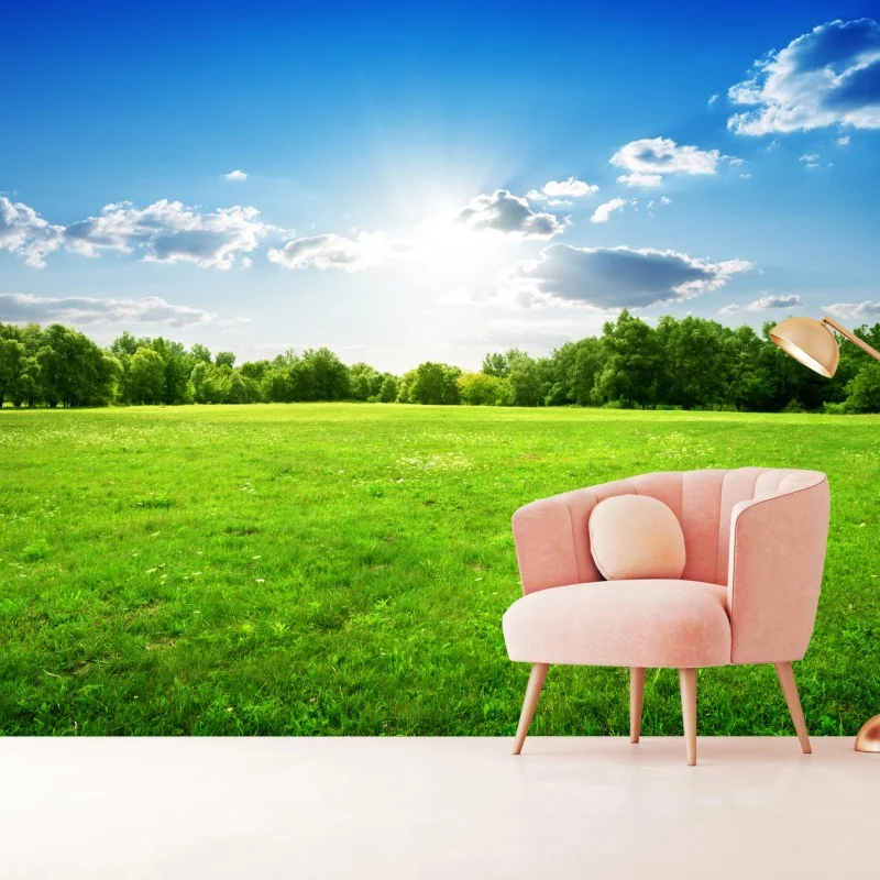 Fototapeta słoneczna zielona łąka – Wallissimo® Fototapeta słoneczna zielona łąka – Wallissimo®
