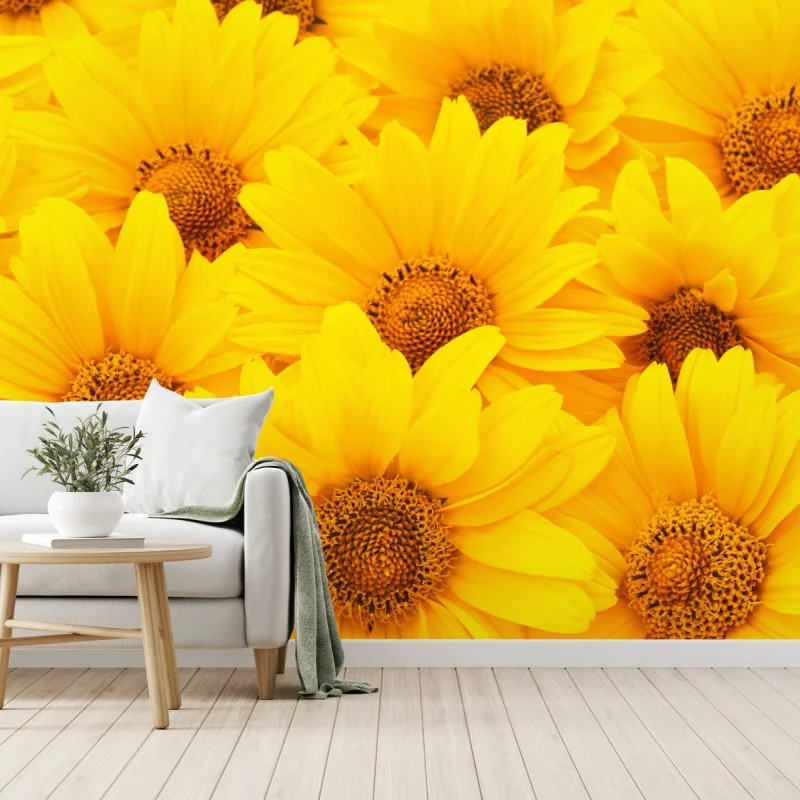 Fototapeta intensywne żółte słoneczniki w zbliżeniu – Wallissimo® Fototapeta intensywne żółte słoneczniki w zbliżeniu – Wallissimo®