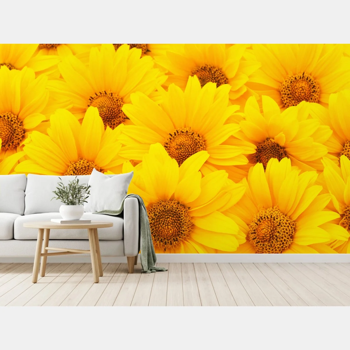 Fototapeta intensywne żółte słoneczniki w zbliżeniu – Wallissimo® Fototapeta intensywne żółte słoneczniki w zbliżeniu – Wallissimo®