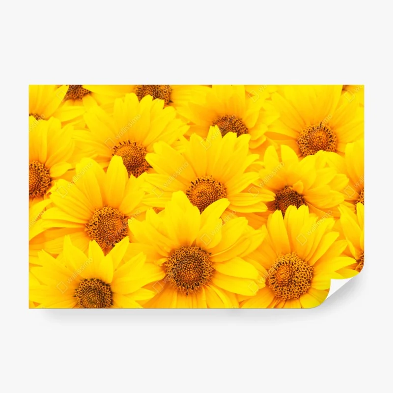 Fototapeta zielony wzór z warzywami – Wallissimo®