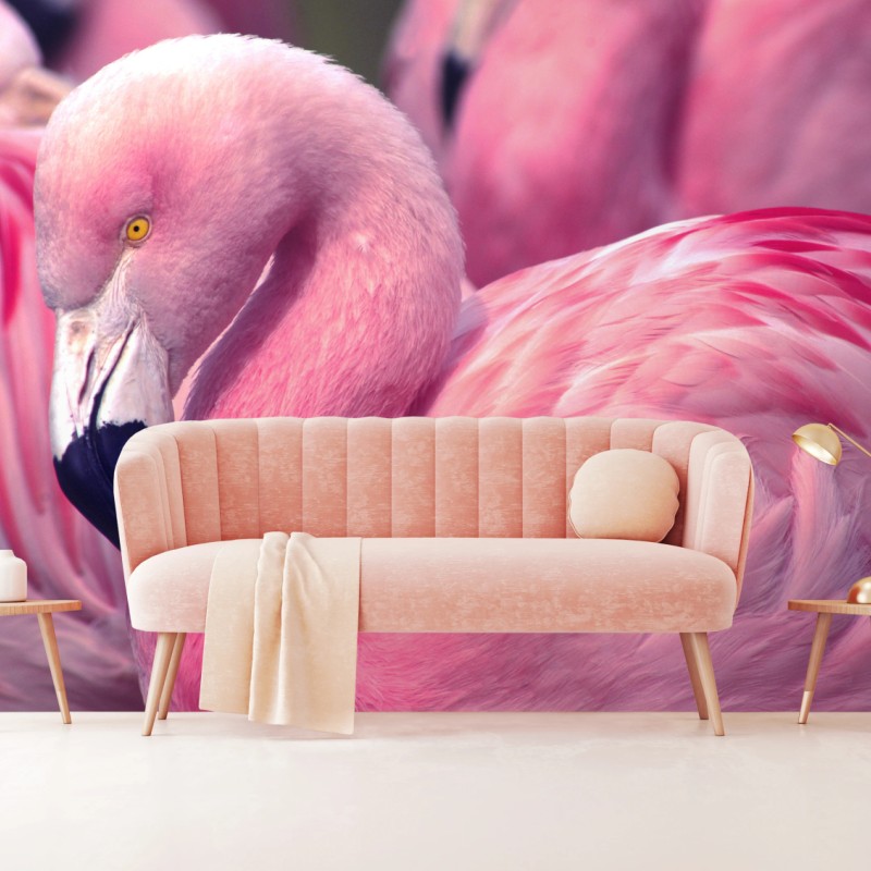 Fototapeta różowy flaming z bliska – Wallissimo® Fototapeta różowy flaming z bliska – Wallissimo®