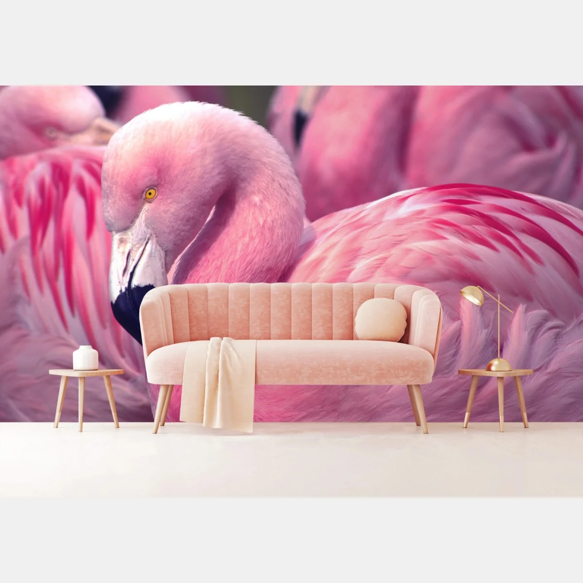 Fototapeta różowy flaming z bliska – Wallissimo® Fototapeta różowy flaming z bliska – Wallissimo®