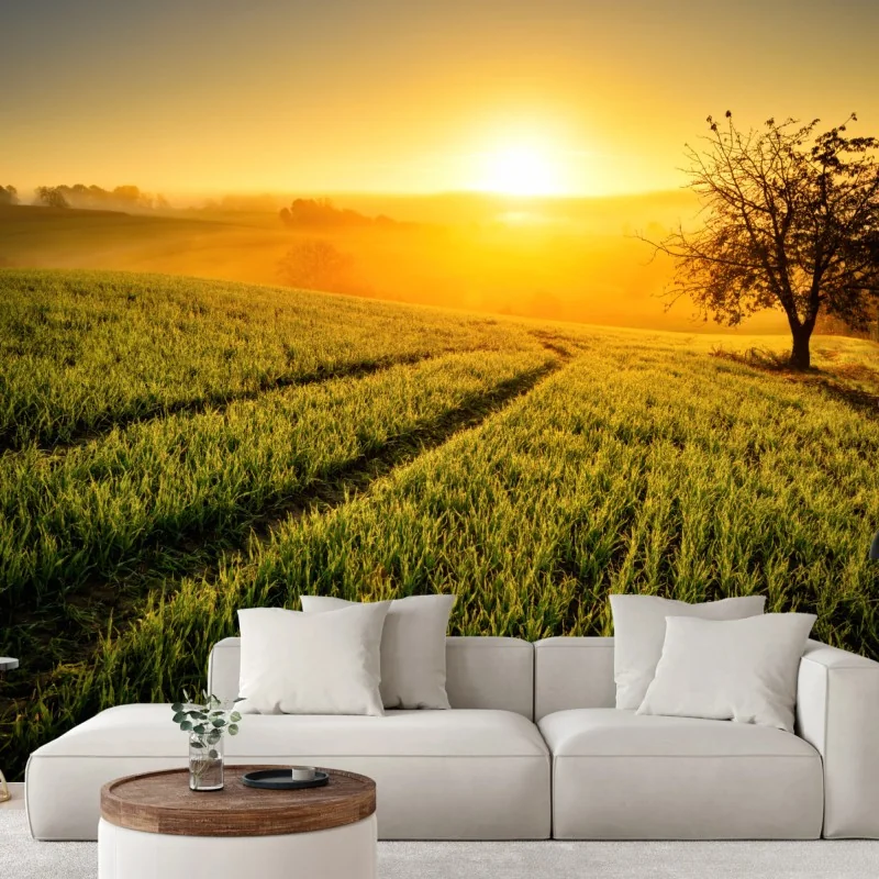 Fototapeta słoneczna łąka o świcie – Wallissimo® Fototapeta słoneczna łąka o świcie – Wallissimo®