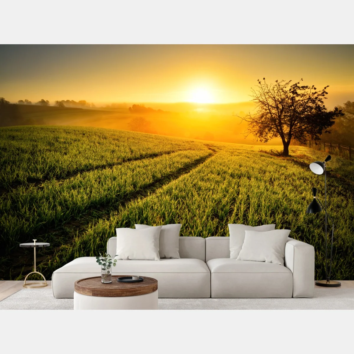 Fototapeta słoneczna łąka o świcie – Wallissimo® Fototapeta słoneczna łąka o świcie – Wallissimo®