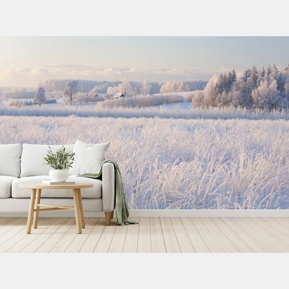 Fototapeta szronowa łąka o poranku – Wallissimo® Fototapeta szronowa łąka o poranku – Wallissimo®