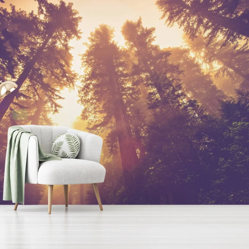 Fototapeta mglisty las sekwojowy w złotych vintage tonacjach – Wallissimo® Fototapeta mglisty las sekwojowy w złotych vintage tonacjach – Wallissimo®