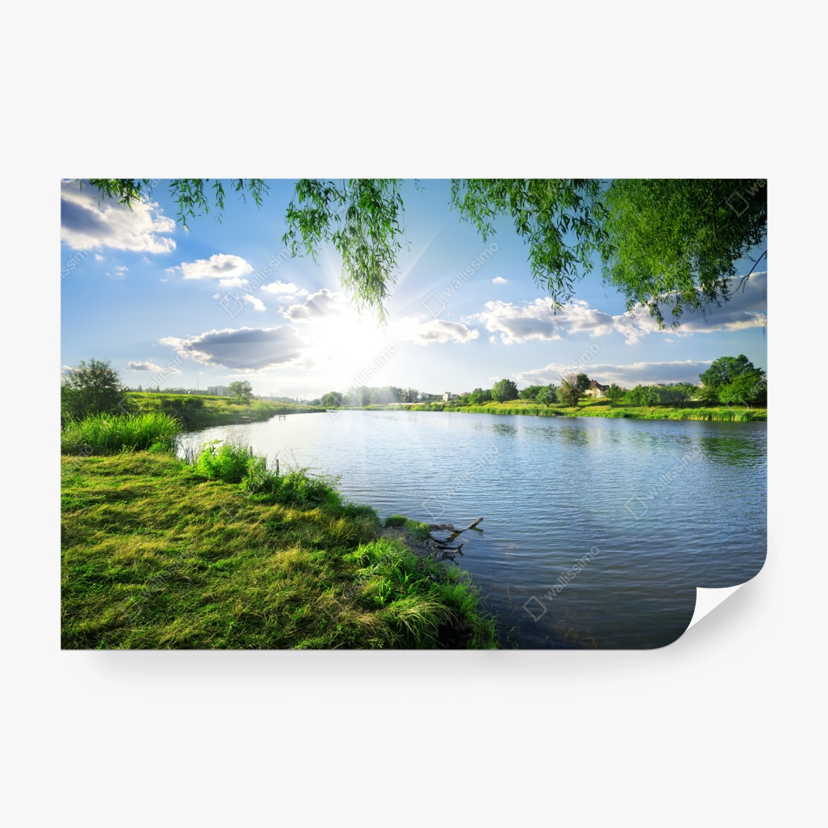 Fototapeta nasłoneczniony brzeg rzeki z bujną zielenią – Wallissimo® Fototapeta nasłoneczniony brzeg rzeki z bujną zielenią – Wallissimo®