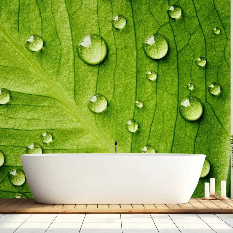 Fototapeta świeży zielony liść z kroplami wody – Wallissimo® Fototapeta świeży zielony liść z kroplami wody – Wallissimo®