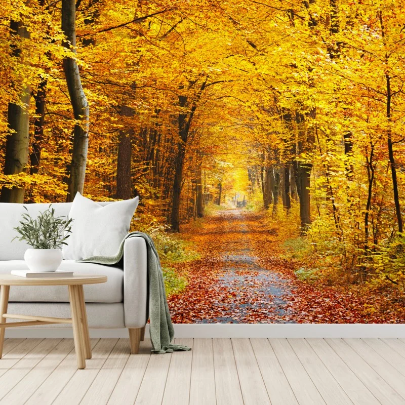 Fototapeta złota ścieżka w jesiennym lesie – Wallissimo® Fototapeta złota ścieżka w jesiennym lesie – Wallissimo®