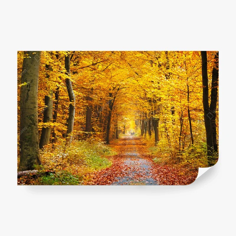 Fototapeta żywe turkusowo-pomarańczowe marmurkowe dzieło – Wallissimo®