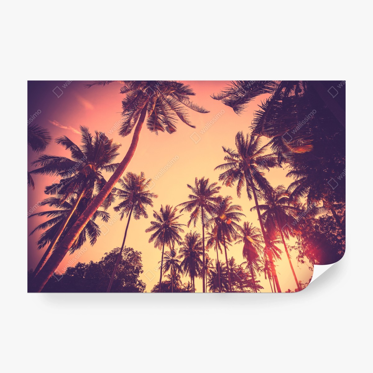 Fototapeta vintage tropikalny zachód słońca z palmami – Wallissimo® Fototapeta vintage tropikalny zachód słońca z palmami – Wallissimo®