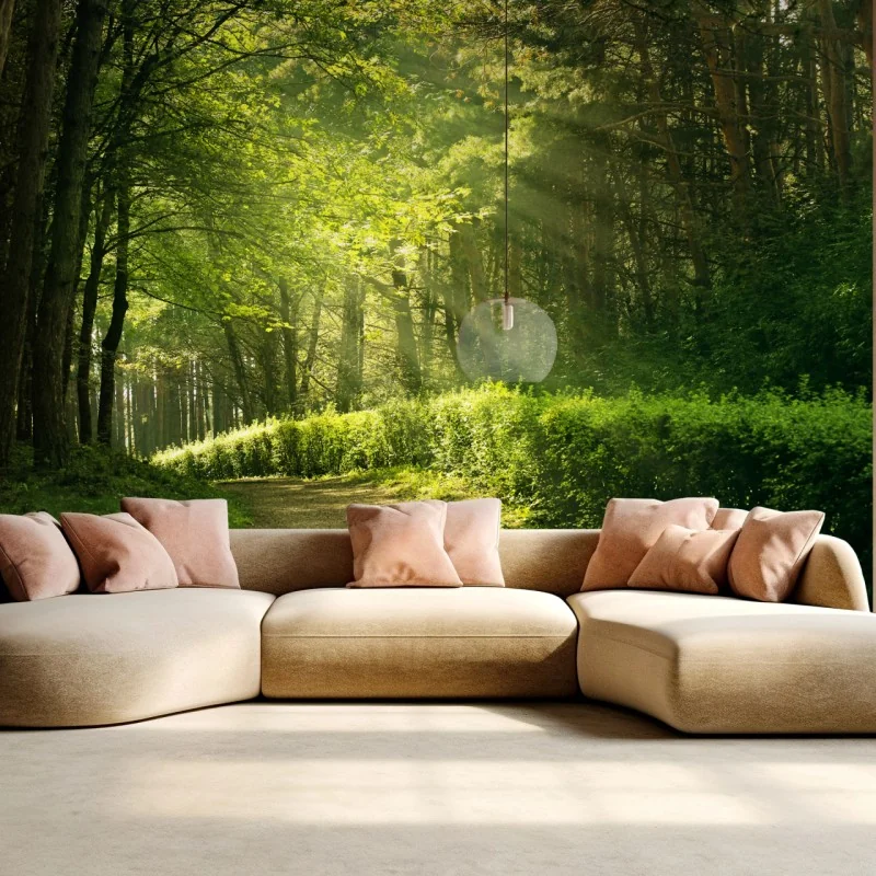 Fototapeta słoneczna leśna ścieżka w zieleni – Wallissimo® Fototapeta słoneczna leśna ścieżka w zieleni – Wallissimo®