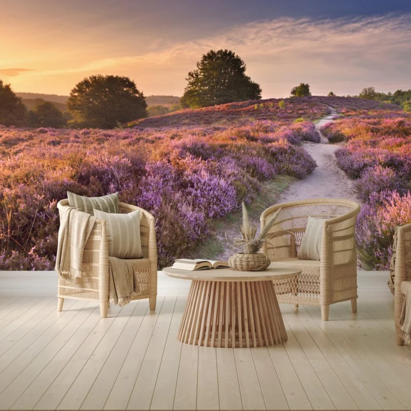 Fototapeta Posbank o świcie nad wrzosowiskiem – Wallissimo® Fototapeta Posbank o świcie nad wrzosowiskiem – Wallissimo®