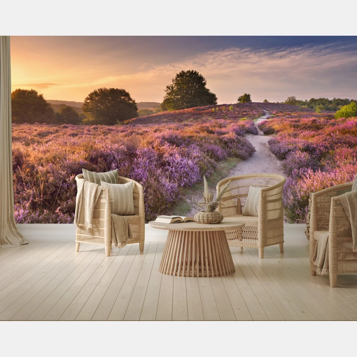 Fototapeta Posbank o świcie nad wrzosowiskiem – Wallissimo® Fototapeta Posbank o świcie nad wrzosowiskiem – Wallissimo®