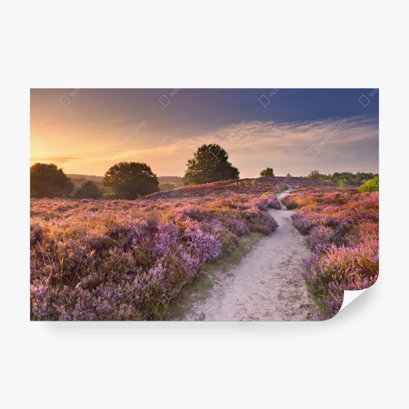 Fototapeta zielony wzór z warzywami – Wallissimo®