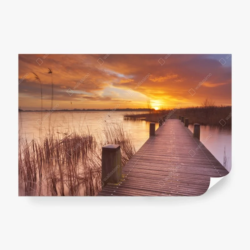 Fototapeta spokojna leśna ścieżka – Wallissimo®