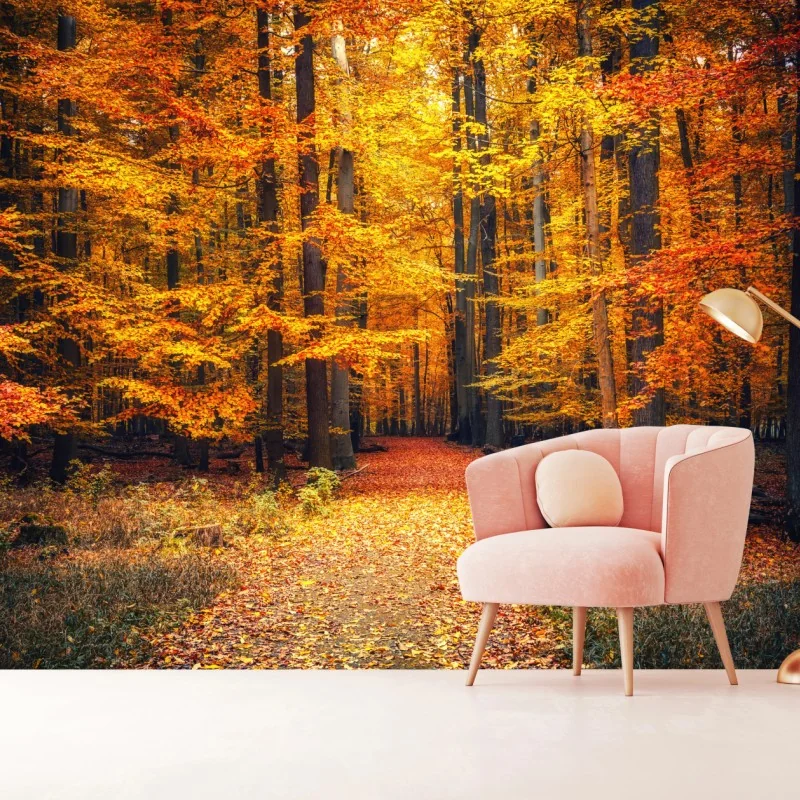 Fototapeta jesienny las ze złotą ścieżką – Wallissimo® Fototapeta jesienny las ze złotą ścieżką – Wallissimo®
