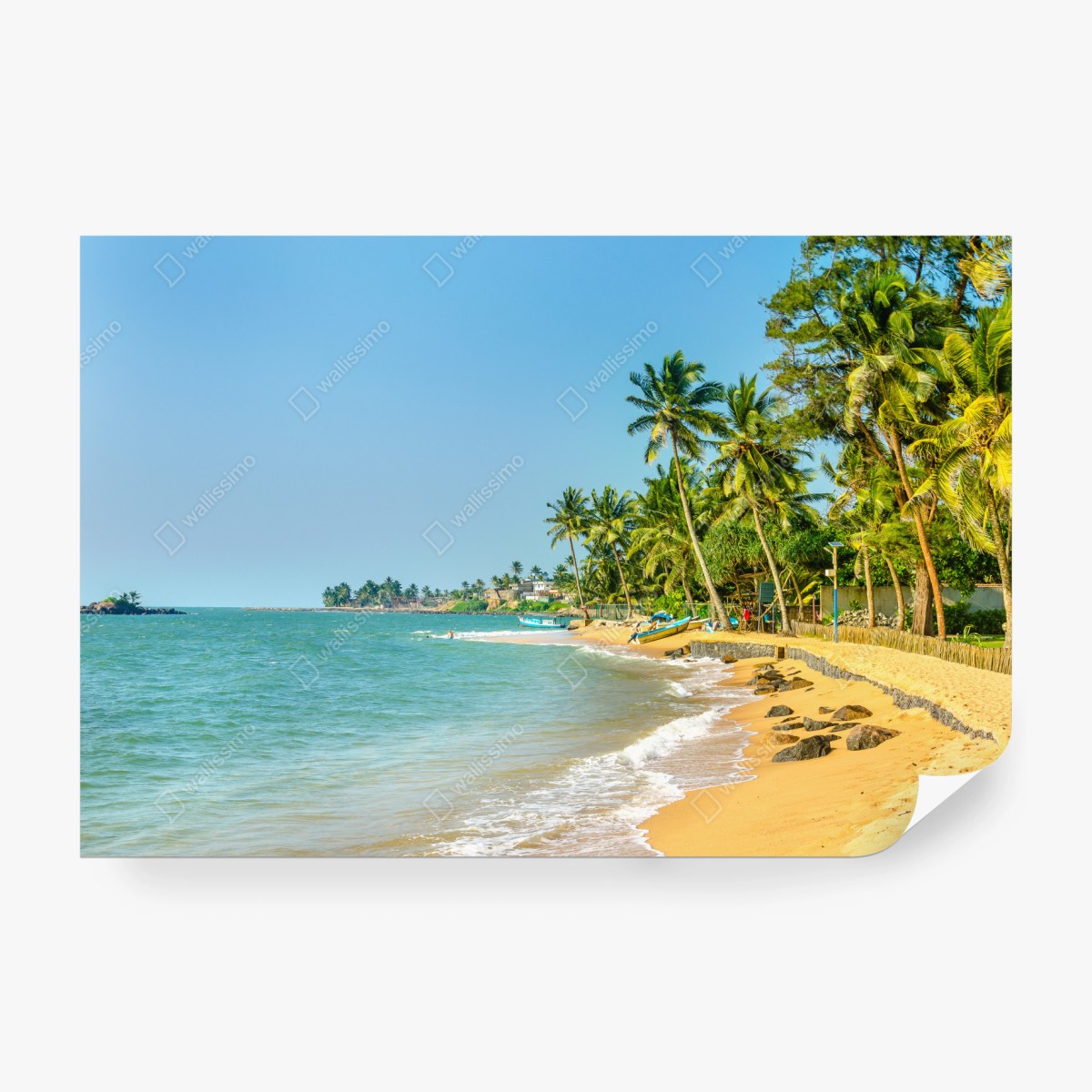 Fototapeta tropikalna plaża z palmami – Wallissimo® Fototapeta tropikalna plaża z palmami – Wallissimo®
