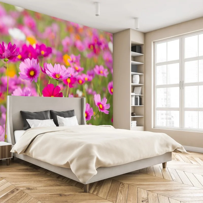 Fototapeta różowa łąka kosmosów w rozkwicie – Wallissimo® Fototapeta różowa łąka kosmosów w rozkwicie – Wallissimo®