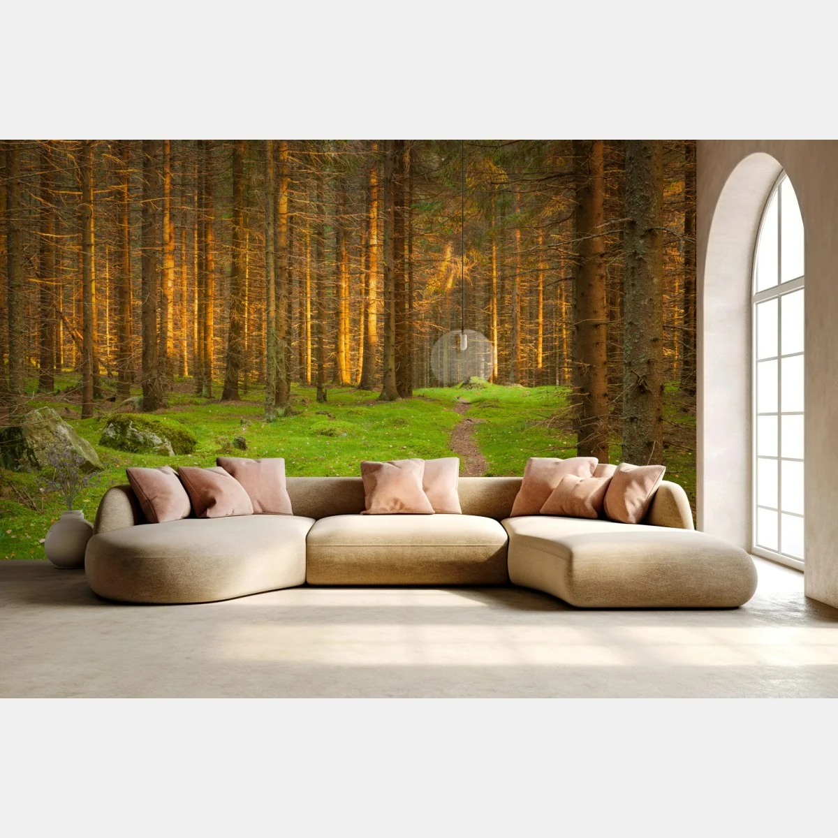 Fototapeta złote światło lesie sosnowym porośniętym mchem – Wallissimo® Fototapeta złote światło lesie sosnowym porośniętym mchem – Wallissimo®