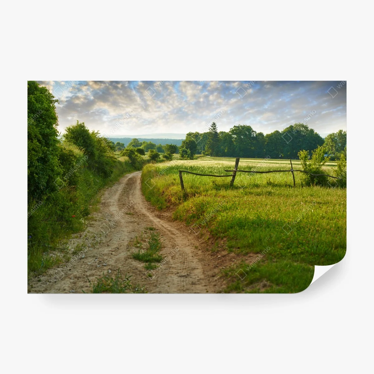 Fototapeta słoneczna wiejska ścieżka przez zielone łąki – Wallissimo® Fototapeta słoneczna wiejska ścieżka przez zielone łąki – Wallissimo®